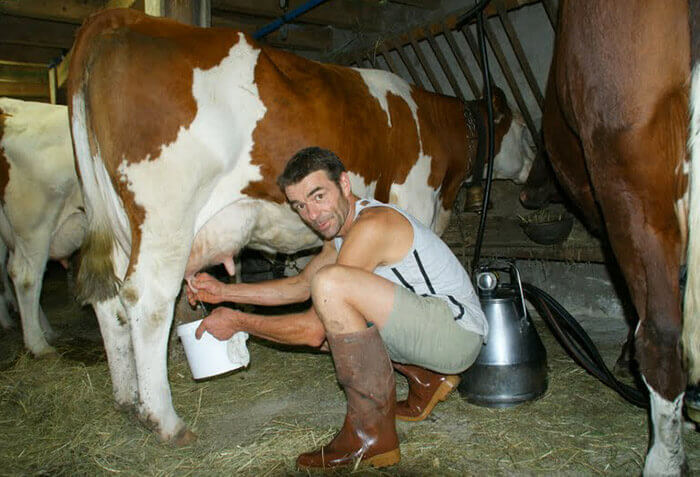 Producteur Yaourts BIO Haute Savoie - La Ferme du Parquet